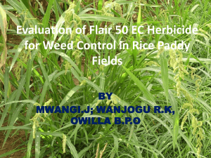Evaluation of Flair 50 EC Herbicide for Weed Control in Rice