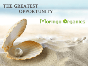 Moringo-Organics-Compensation-plan