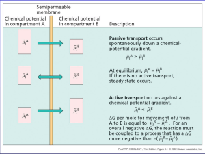 THE NERNST EQUATION RELATES THE MEMBRANE POTENTIAL