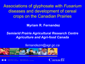 Impact of agronomic practices on the development of Fusarium head