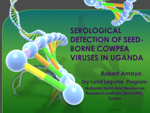 3. Serological detection of seed-borne cowpea viruses in uganda