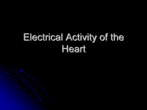1 - Electrical Activity of the Heart