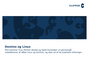 Domino og Linux