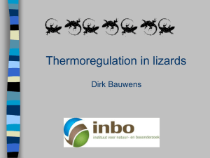 Behavioural thermoregulation