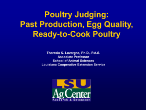 Poultry+Judging