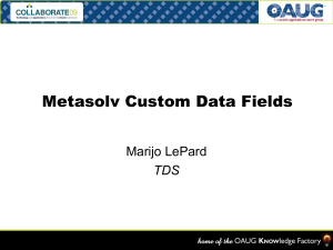 Custom Data Fields - MetaSolv Solution Special Interest Group