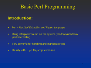 Basic Perl Programming