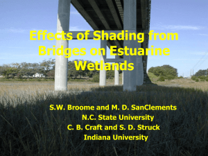 Effects of Shading from Bridges on Estuarine Wetlands