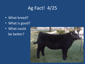 AG 12.5 - Intro to Livestock Judging