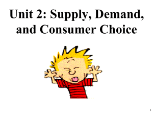 AP Micro 2-2 Shifters of Demand