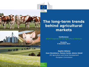 The long-term trends behind agricultural markets