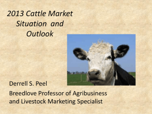 2013 Cattle Market Situation and Outlook