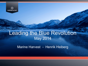 Marine Harvest Q4 2012 Presentation