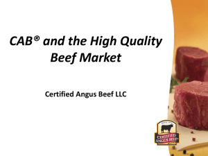 CAB and The High Quality Beef Market