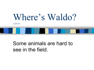 Where`s Waldo?