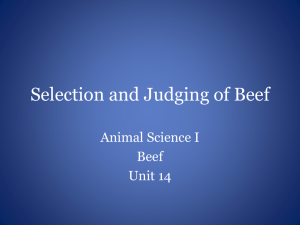 Selection and Judging of Beef