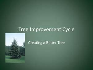 Tree Improvement Cycle - Kenan Fellows Program