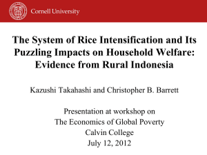 The System of Rice Intensification and Its Puzzling Impacts on