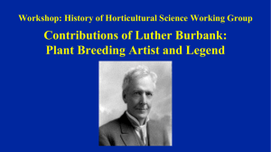 Contributions of Luther Burbank - Horticulture and Landscape