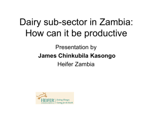 Dairy sub-sector in Zambia: How can it be productive