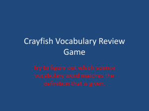 Crayfish Vocabulary Review Game