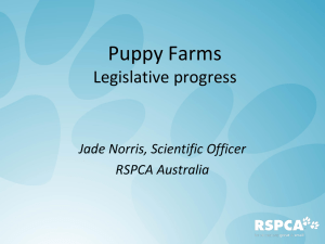 Jade Norris - Legislation to Prohibit Puppy Farming