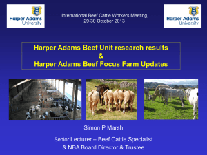 Harper Adams Beef Unit research results and Focus farm Updates