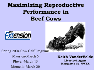 Body Condition, Nutrition and Reproduction of Beef Cows