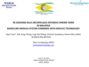 Re-designing Blue Archipelago Berhad Intensive Shrimp Farm in