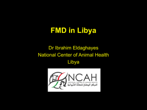 Libya - (FMD) - Middle East