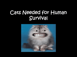 Animals Needed for Human Survival
