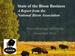 Presentation - Bison Advantage | Workshop