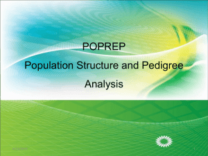 POPREP-Population Structure and Pedigree Analysis