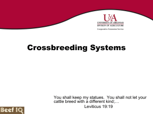 3. Crossbreeding Systems