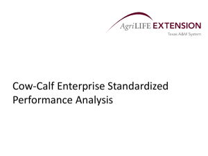 Cow-Calf Enterprise Standardized Performance Analysis