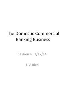 The Domestic Commercial Banking Business