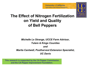 The Effect of Nitrogen Fertilization on Yield and Quality of Bell Peppers