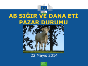 AB Sığır ve Dana Eti Pazar Durumu 22 Mayıs 2014