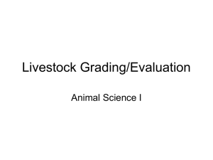 Livestock Grading/Evaluation