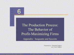 Chapter 6: The Production Process: The Behavior of Profit