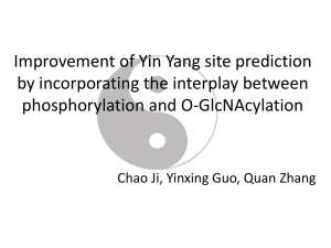 What is Yin Yang site?