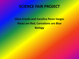 Clare Cronin and Carolina Perez-Vargas