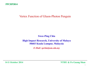 Vertex Function of Double Photon Penguin
