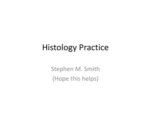 Histology Practice