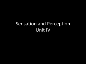 Sensation and Perception Unit IV