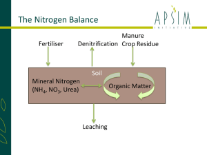The APSIM Nitrogen Balance