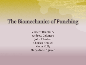 The Biomechanics of Punching - Mary