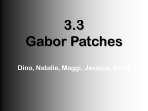 3.3 Gabor Patches - Employees Csbsju