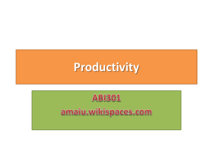 Productivity - amaiu