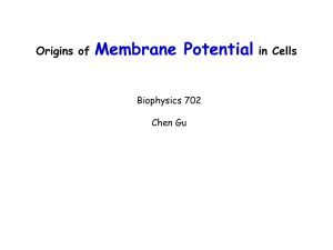 Origin-of-Membrane-Potential